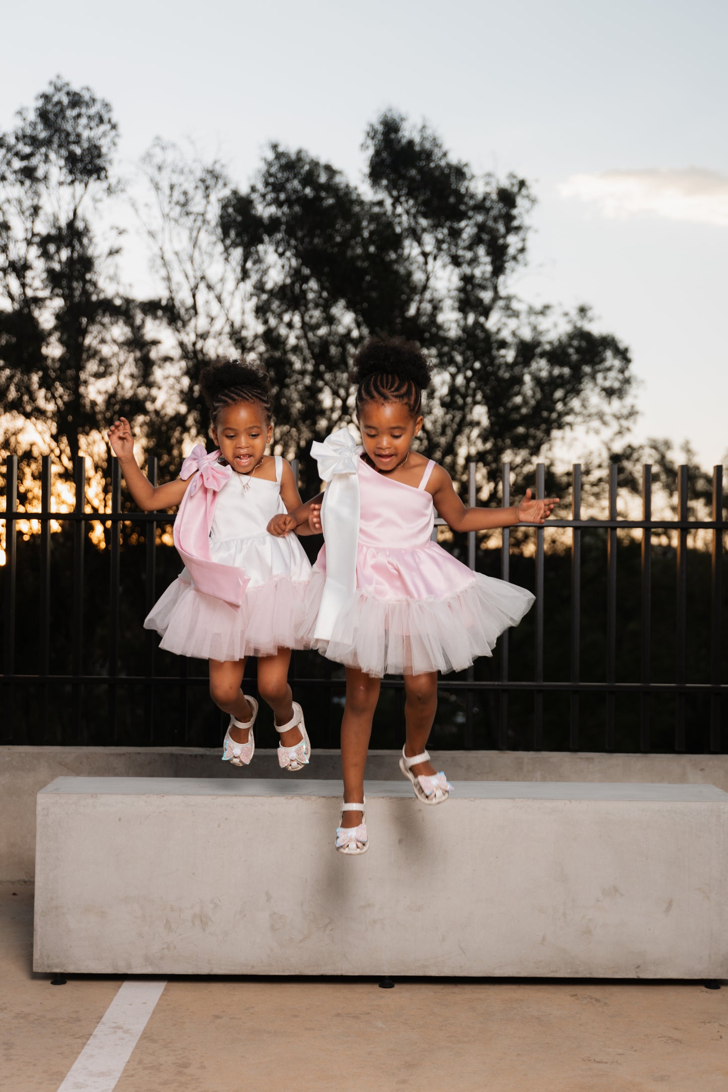 Ballerina Princess Dress