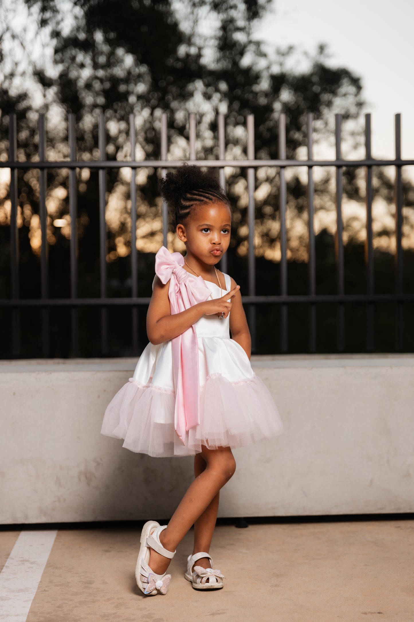 Ballerina Princess Dress