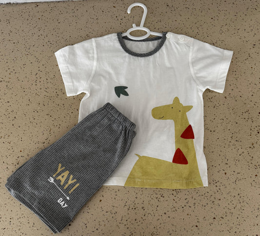 Dinosaur Set